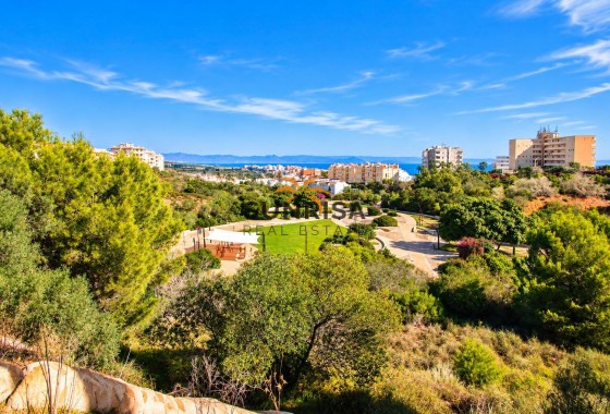 Apartamento · Reventa - Torrevieja · Torreblanca · Alicante · España