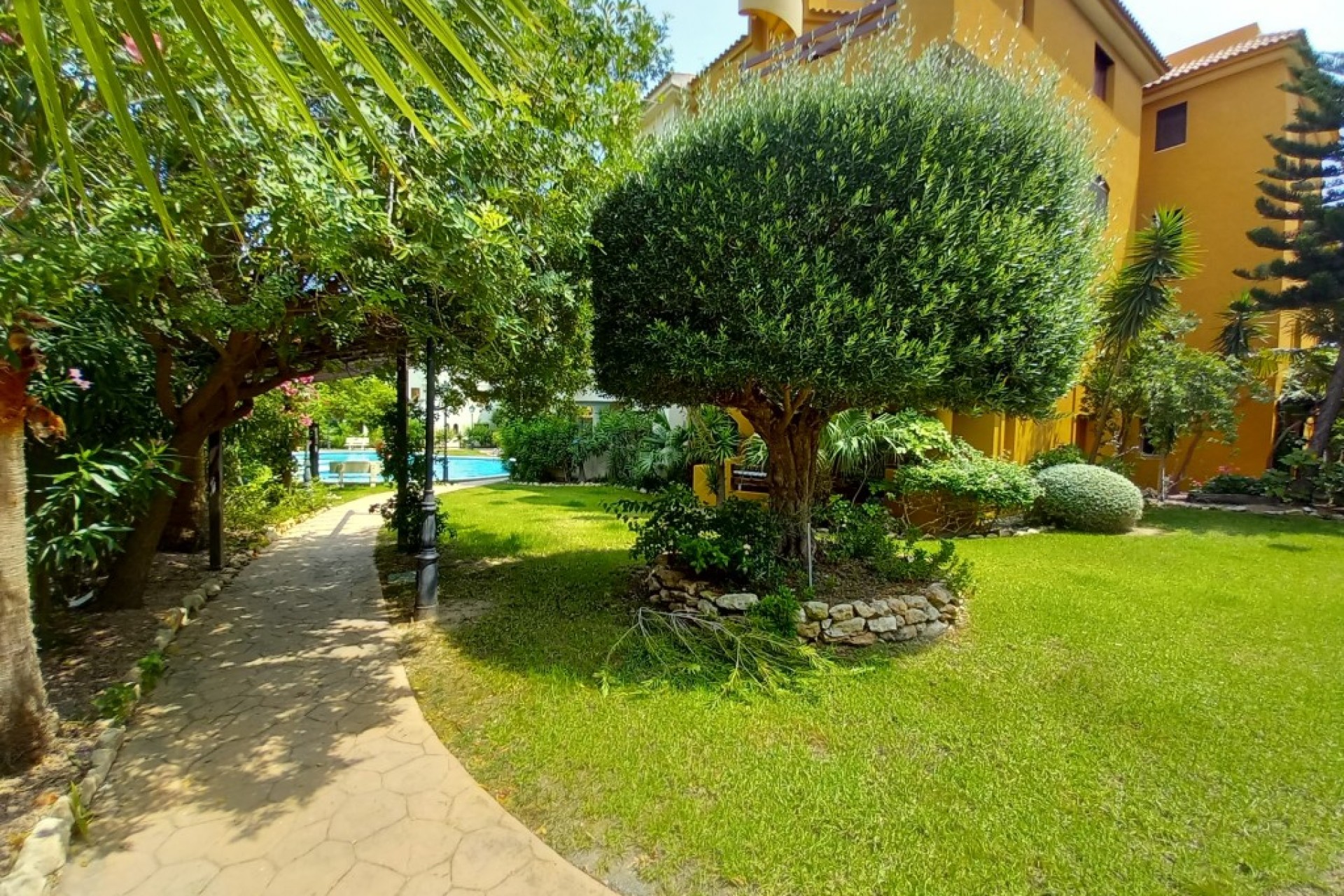 Herverkoop - Penthouse - Punta Prima