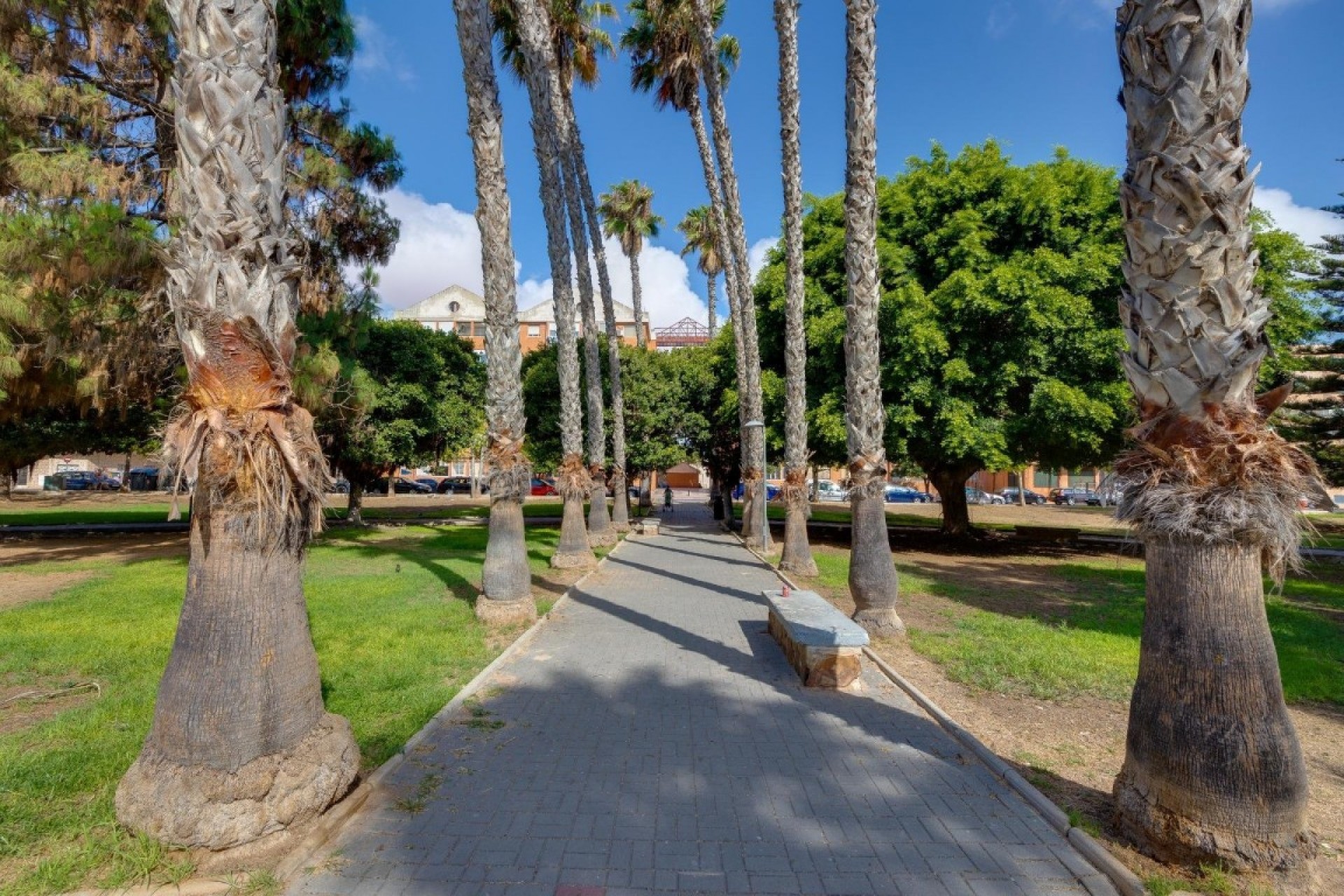 Resale - Penthouse - Playa del Acequion