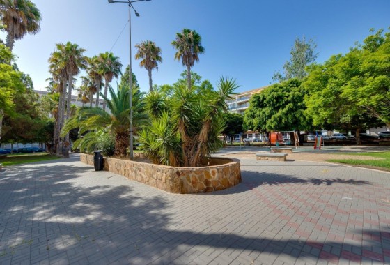 Penthouse · Resale - Playa del Acequion · Alicante · Spain