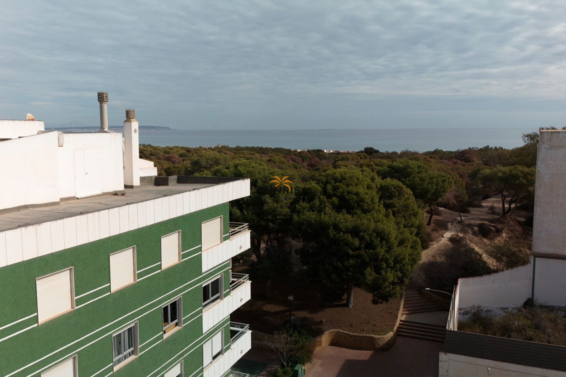 Obra nueva - Apartamento - Guardamar del Segura