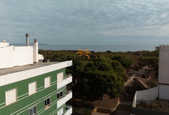 Apartamento · Obra nueva - Guardamar del Segura · Alicante · España