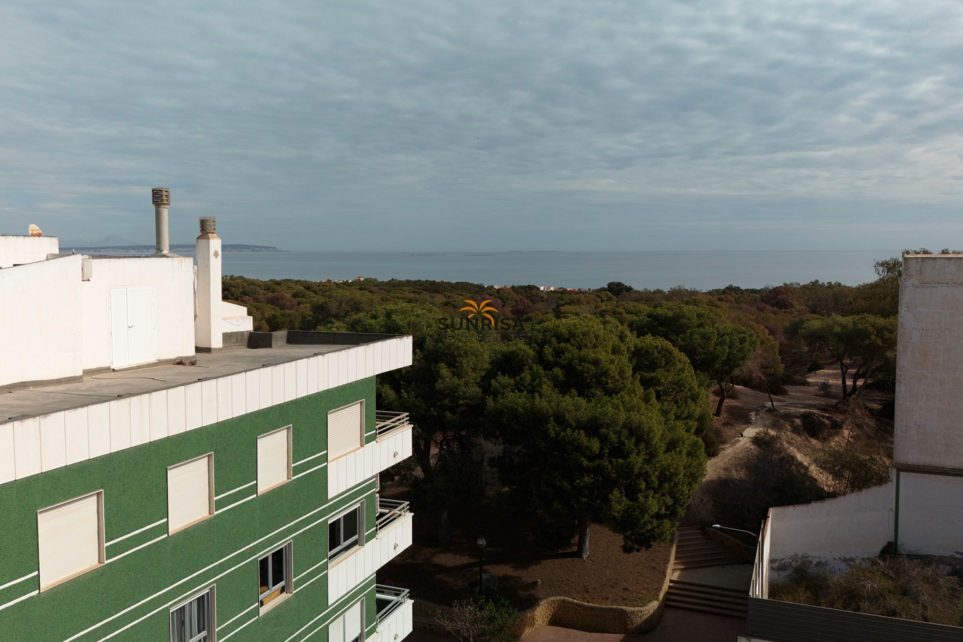 Obra nueva - Apartamento - Guardamar del Segura