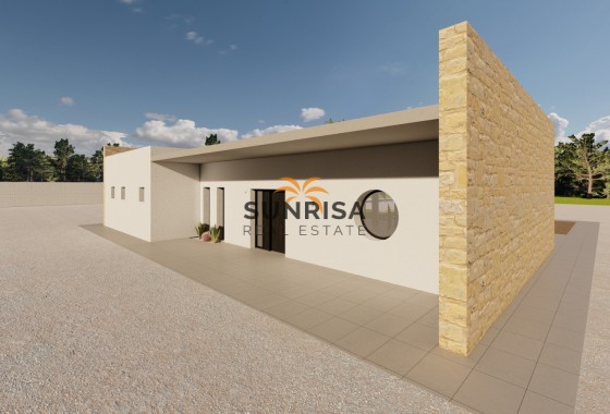 detached · New Build - El Pinós · Alicante · Spain
