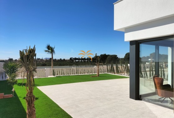 detached · Obra nueva - Pilar de la Horadada · Alicante · España