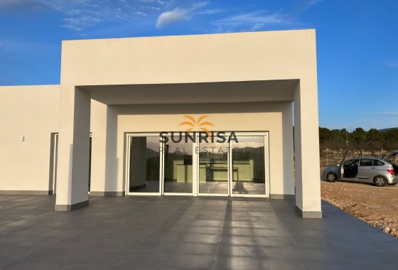 detached · Nieuwbouw Woningen - Pinoso · Alicante · Spanje
