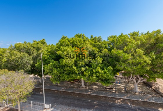 Villa · New Build - Mil Palmeras · Alicante · Spain