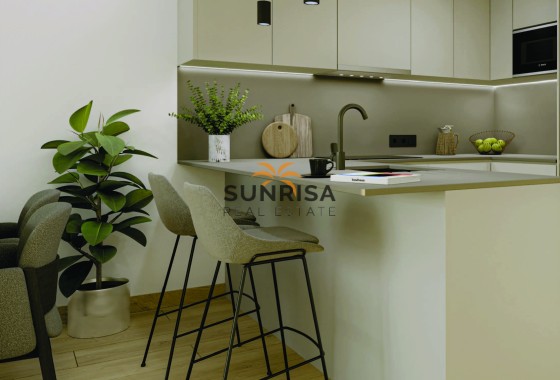 Attique · Nouvelle construction - Torrevieja · Alicante · Espagne