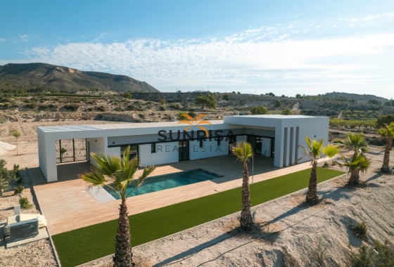 detached · Nouvelle construction - Pinoso · Alicante · Espagne