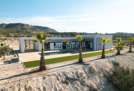 detached · Nouvelle construction - Pinoso · Alicante · Espagne
