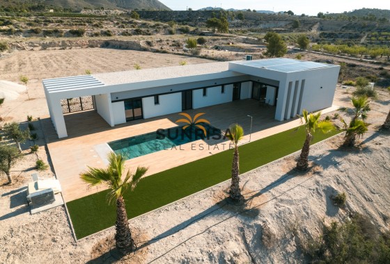 detached · Nouvelle construction - Pinoso · Alicante · Espagne