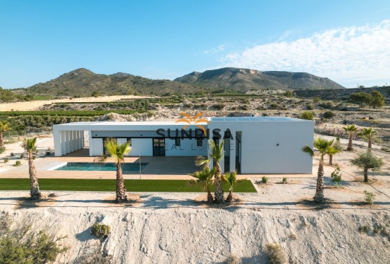 detached · Nouvelle construction - Pinoso · Alicante · Espagne