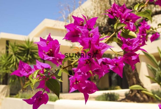 Villa · New Build - La Marina · Alicante · Spain