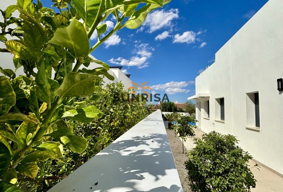 detached · New Build - Benijofar · Alicante · Spain