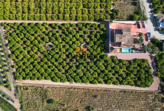 Finca · Reventa - Orihuela · Alicante · España