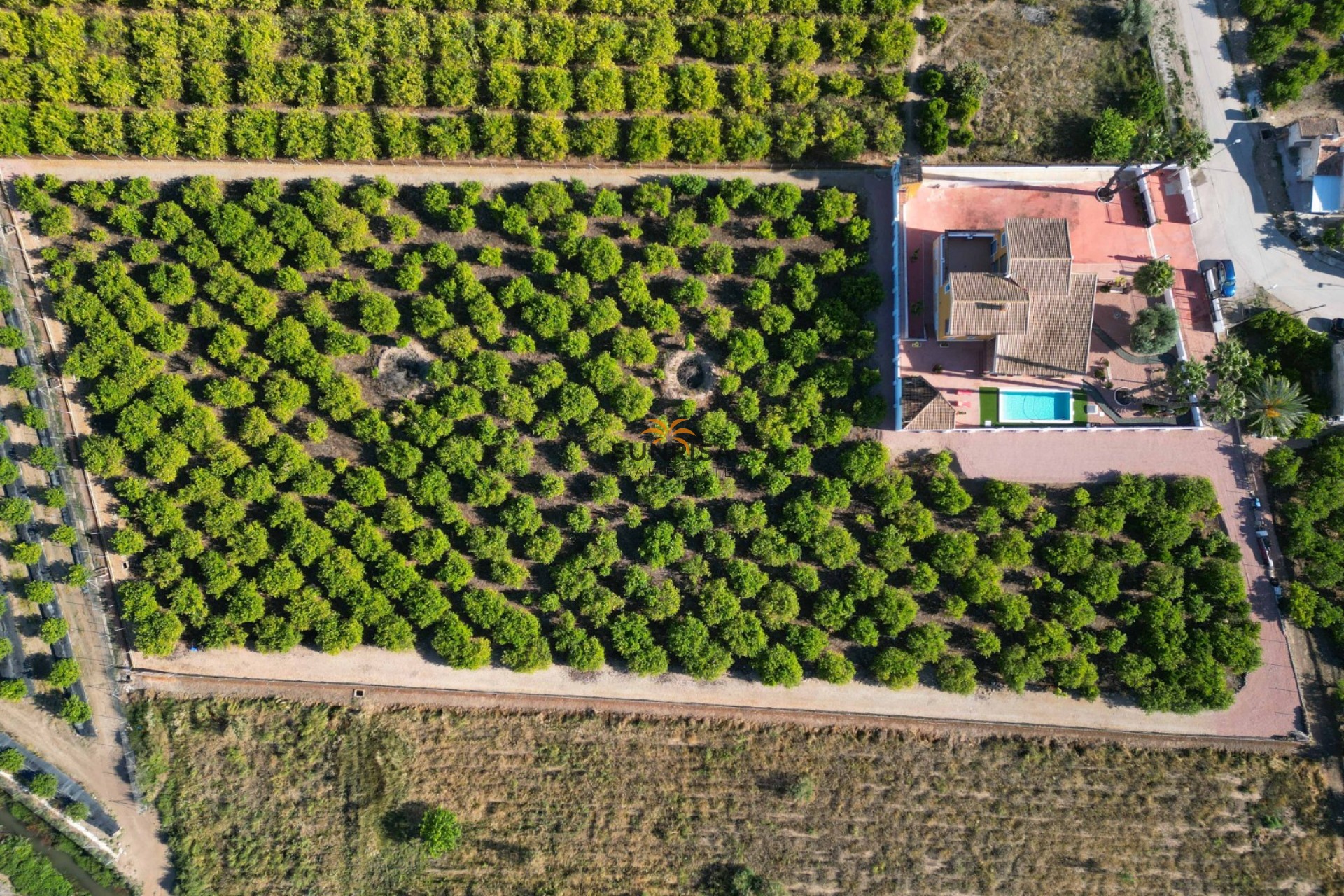 Reventa - Finca - Orihuela