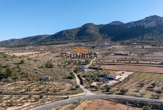 Finca · Reventa - La Zarza · Murcia · España