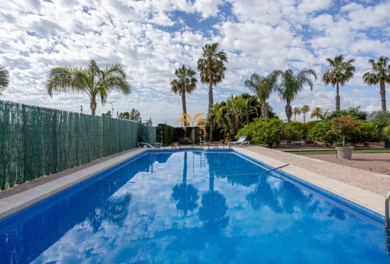 Villa · Reventa - Elche · Alicante · España