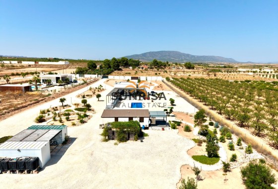 Villa independiente · Reventa - Pinoso · Alicante · España