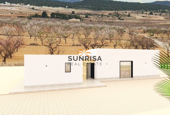 detached · New Build - Pinoso · Alicante · Spain