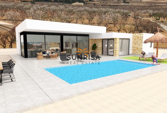 detached · New Build - Pinoso · Alicante · Spain