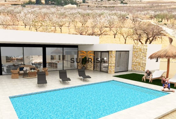detached · New Build - Pinoso · Alicante · Spain