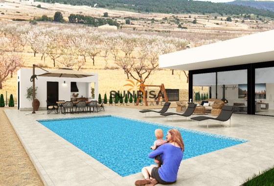 detached · New Build - Pinoso · Alicante · Spain