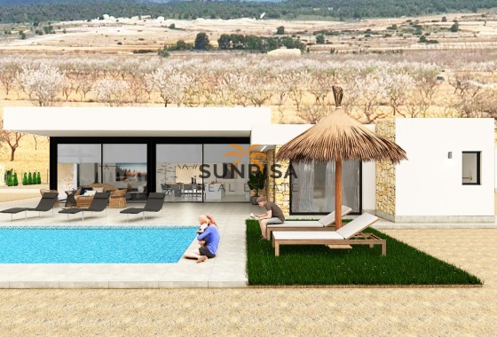 detached · New Build - Pinoso · Alicante · Spain