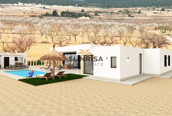 detached · New Build - Pinoso · Alicante · Spain