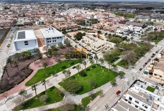 detached · Obra nueva - Pilar de la Horadada · Alicante · España