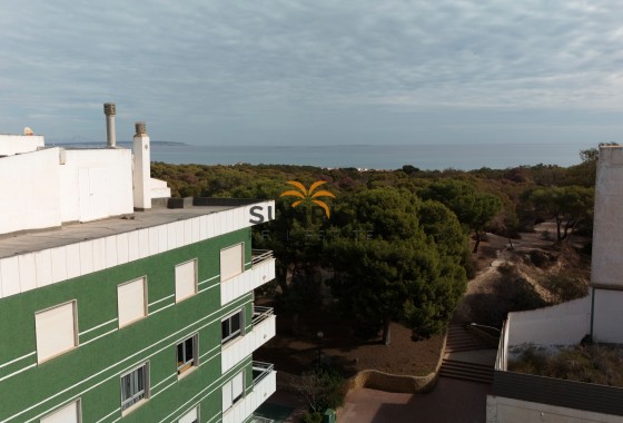 Apartamento · Obra nueva - Guardamar del Segura · Alicante · España