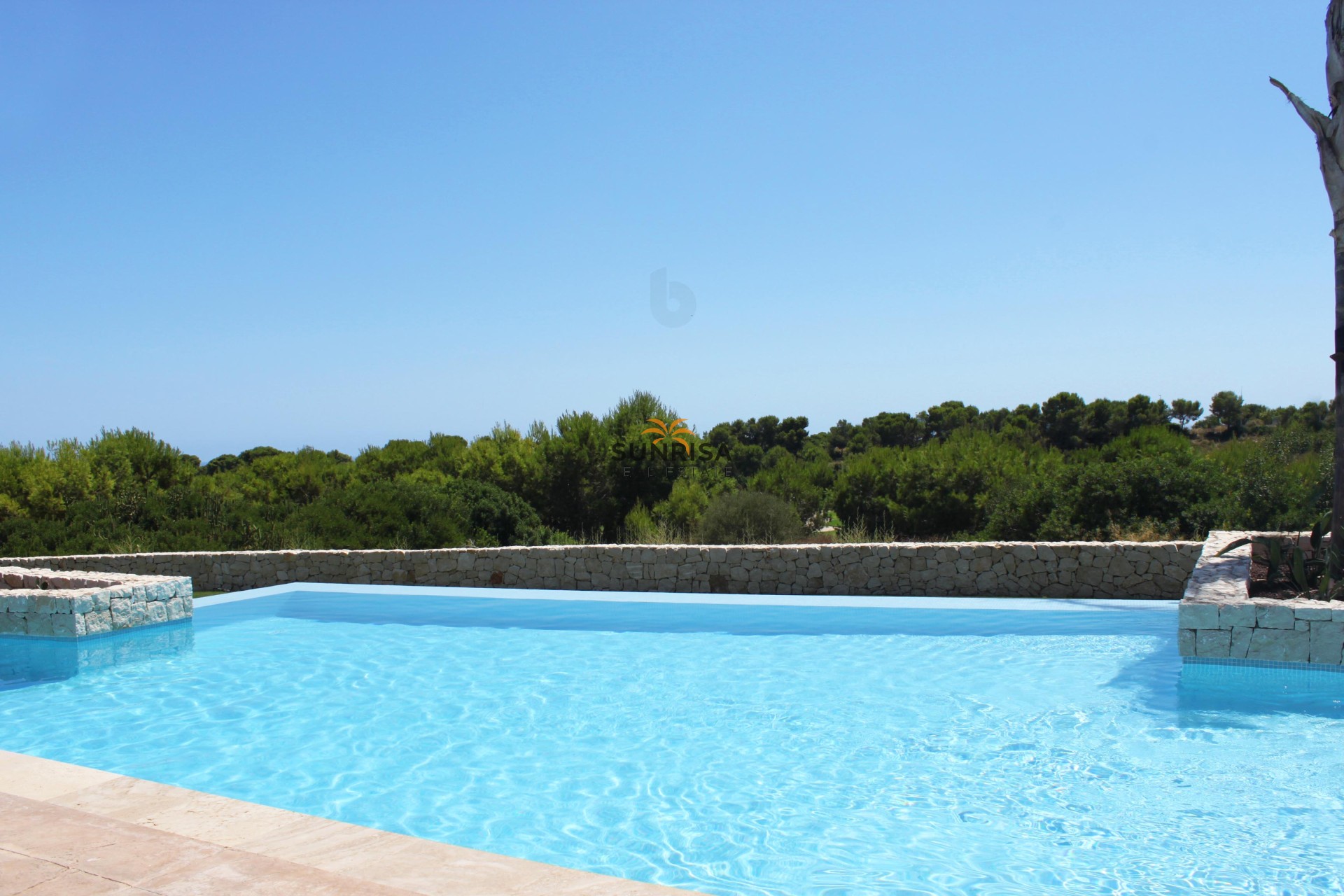 Nouvelle construction - Appartement - Pilar de la Horadada