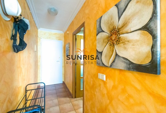 Apartamento · Reventa - Torrevieja · Acequion · Alicante · España