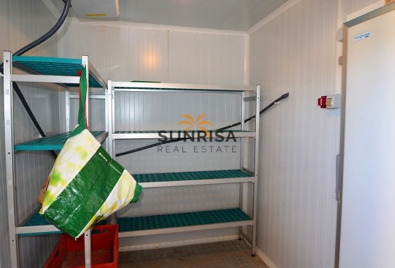 Local comercial · Reventa - Torrevieja · Torretas · Alicante · España