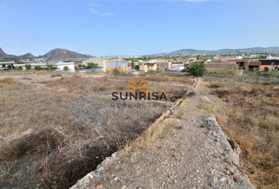 Casa de campo · Reventa - Orihuela · Orihuela Campo · Alicante · España