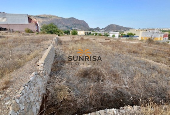 Casa de campo · Reventa - Orihuela · Orihuela Campo · Alicante · España