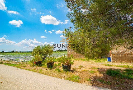 Casa de campo · Reventa - San Isidro · Alicante · España