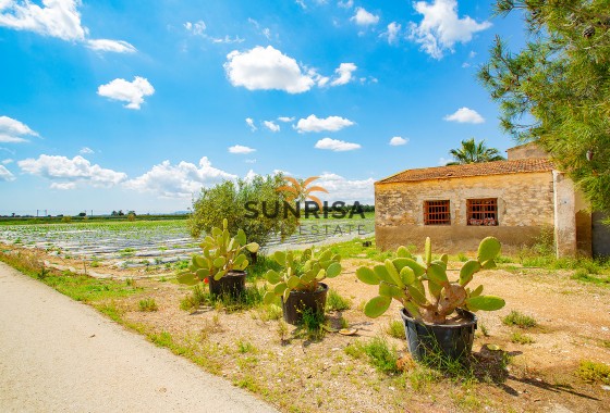 Casa de campo · Reventa - San Isidro · Alicante · España