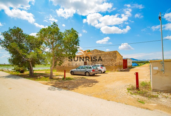 Casa de campo · Reventa - San Isidro · Alicante · España