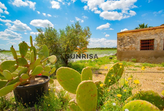 Casa de campo · Reventa - San Isidro · Alicante · España