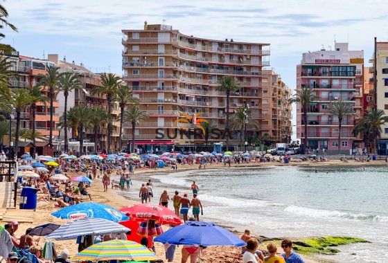 Apartamento · Reventa - Torrevieja · Parque de las Naciones · Alicante · España