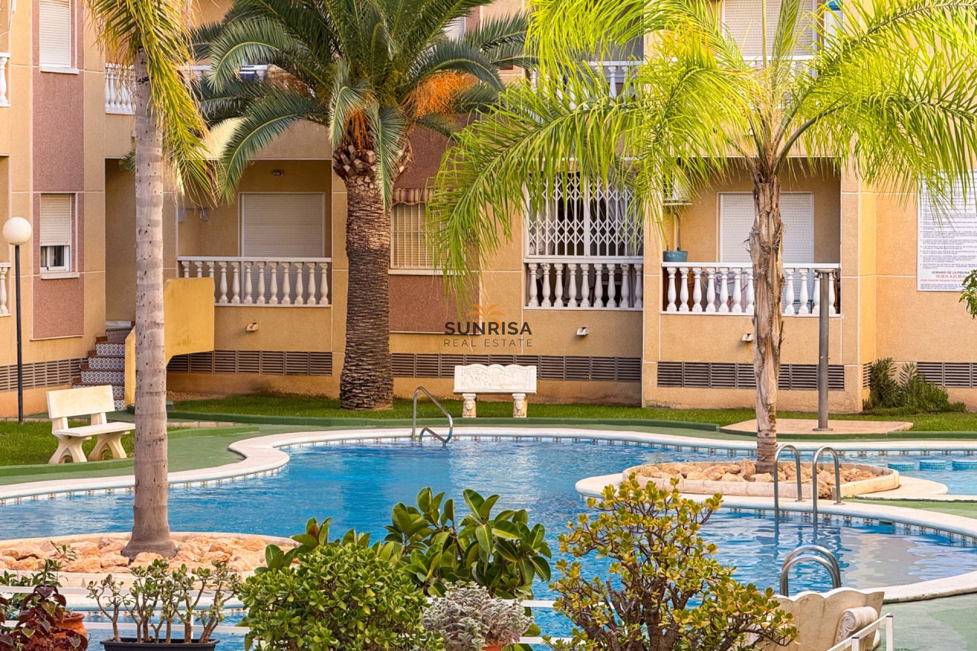 Reventa - Apartamento - Torrevieja