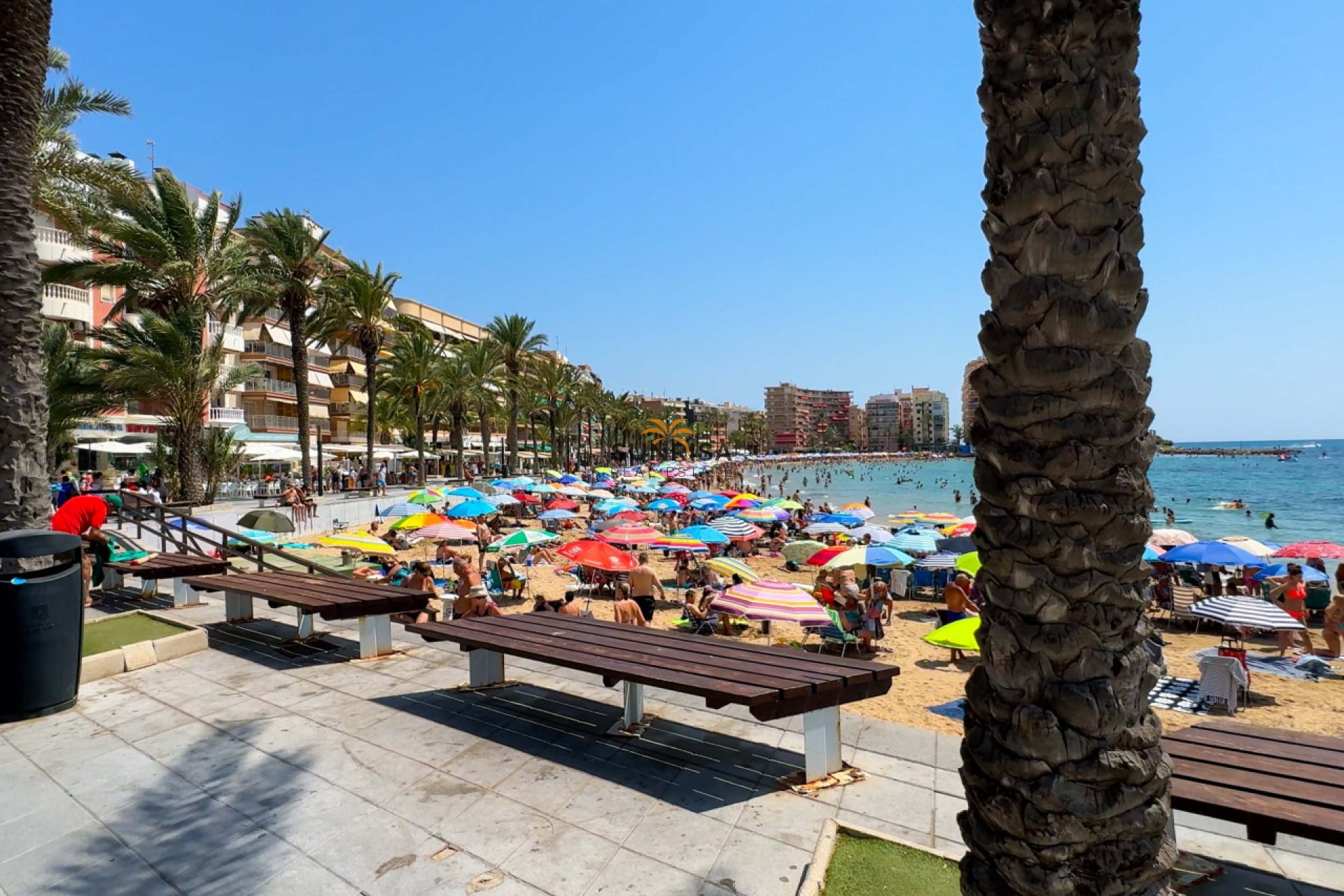 Reventa - Apartamento - Torrevieja