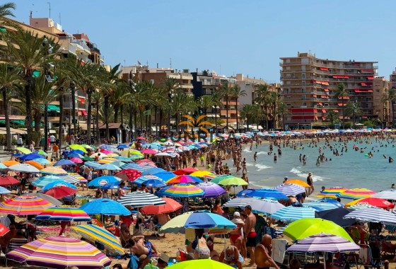 Appartement · Herverkoop - Torrevieja · Parque de las Naciones · Alicante · Spanje