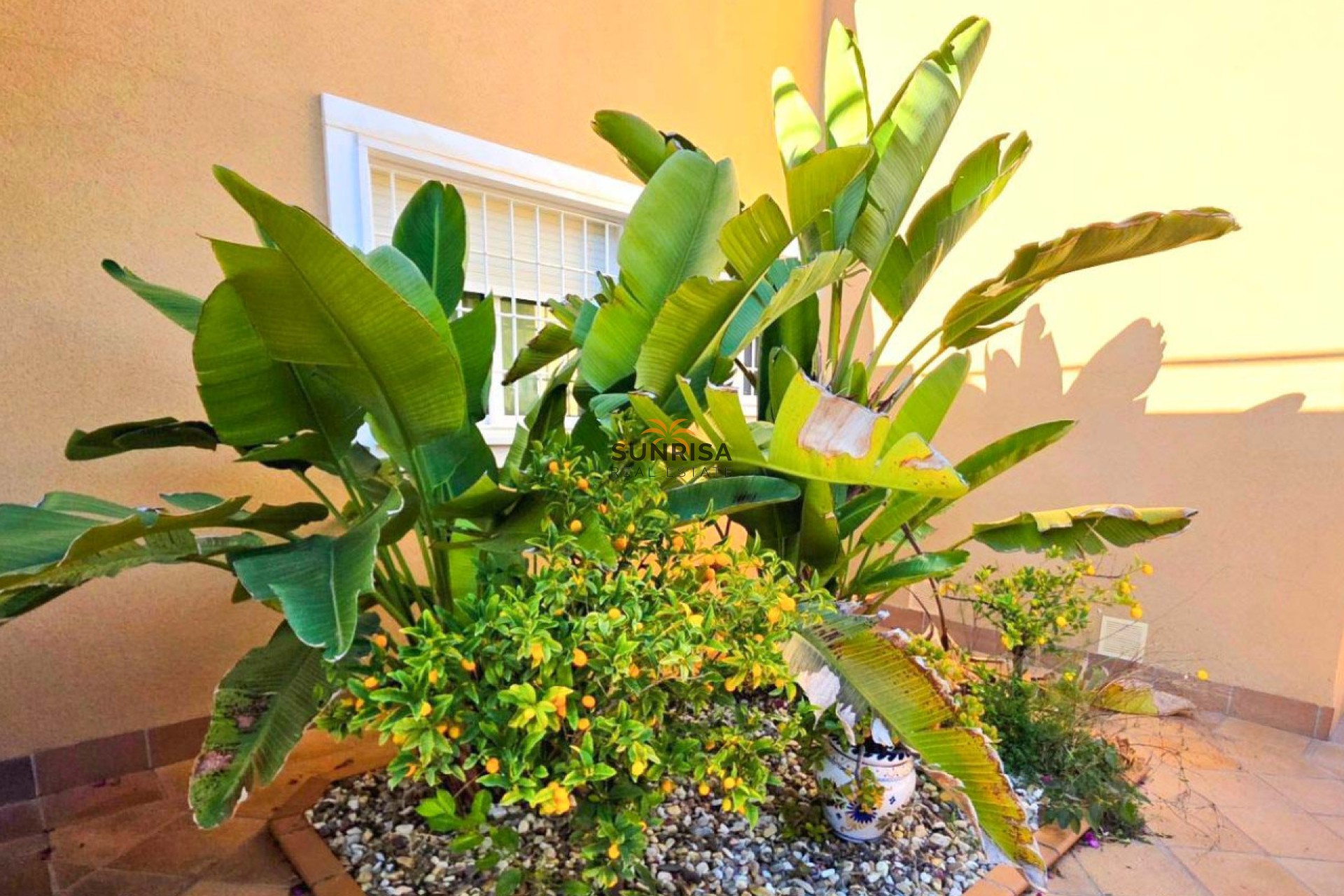 Revente - Villa - Orihuela Costa