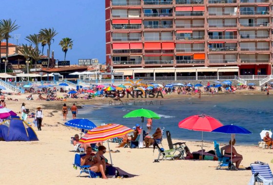 Apartamento · Reventa - Torrevieja · Playa de los Locos · Alicante · España