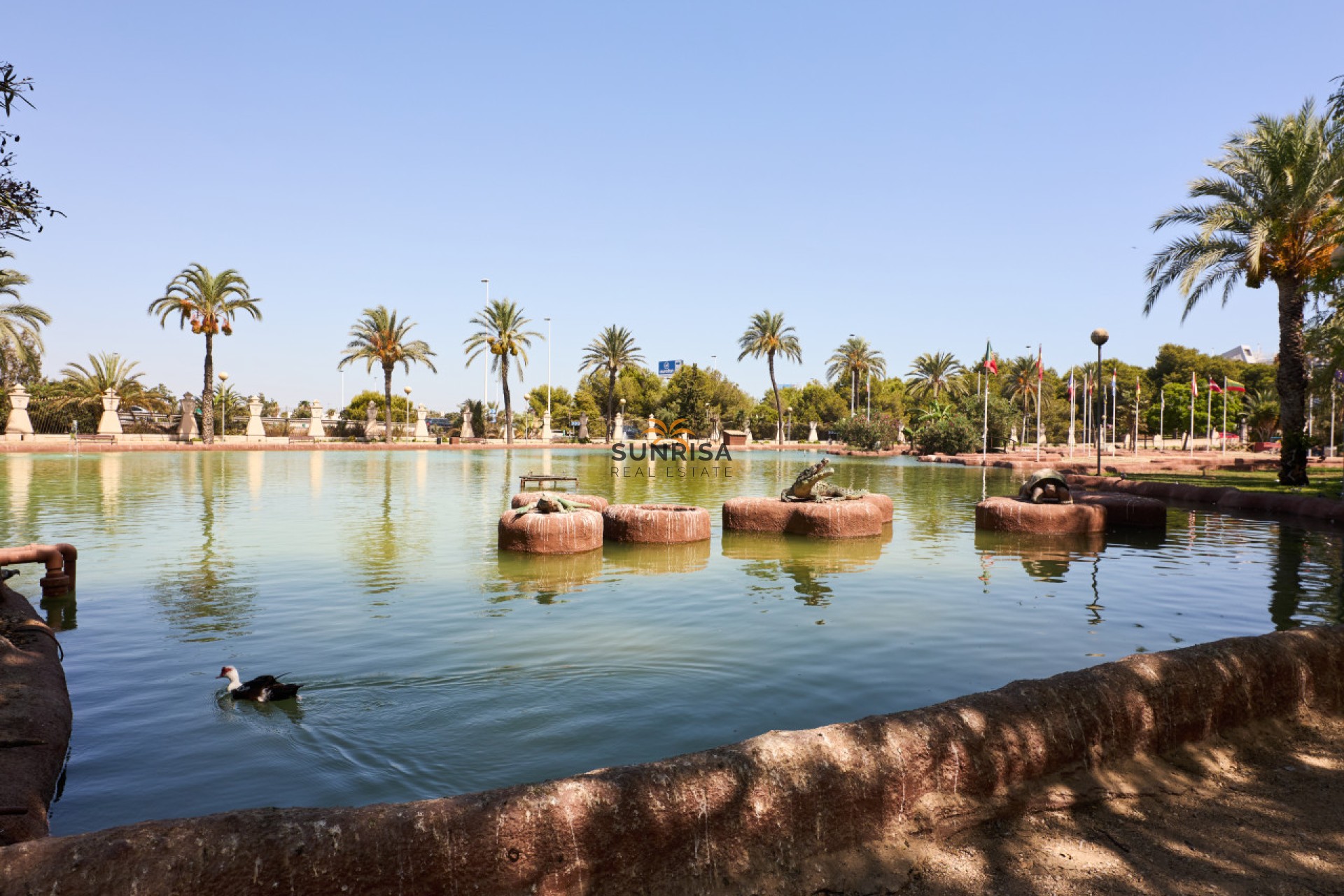 Reventa - Apartamento - Torrevieja
