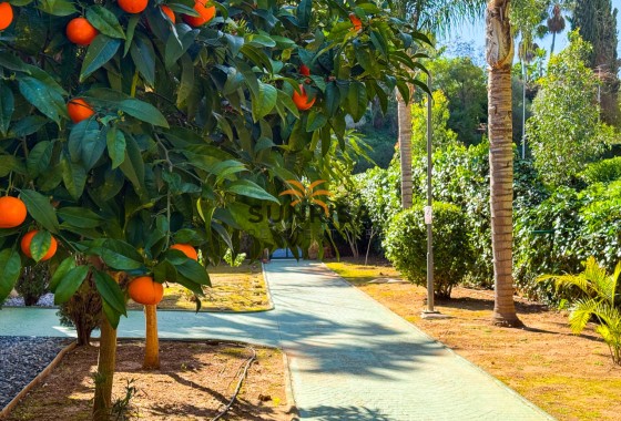 Apartamento · Reventa - Marbella · Rio Real · Málaga · España