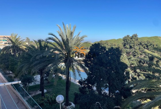 Apartamento · Reventa - Guardamar del Segura · Pinomar · Alicante · España