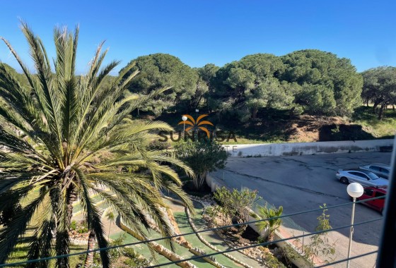 Apartamento · Reventa - Guardamar del Segura · Pinomar · Alicante · España